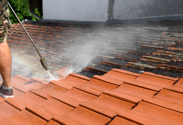  Bayshore, NC Pressure Washing Pros